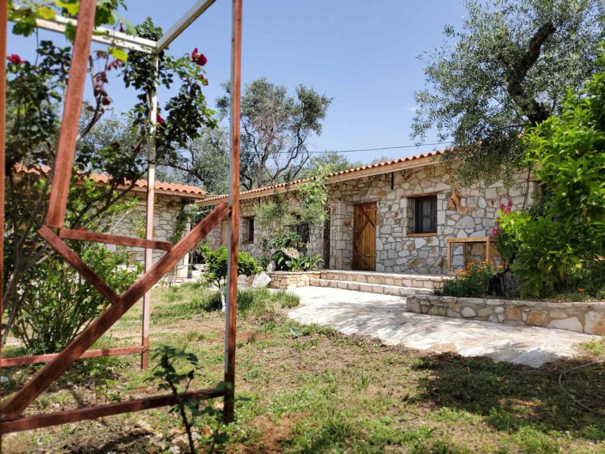 Filoxenia - The Place Of Experience Himare Exterior foto