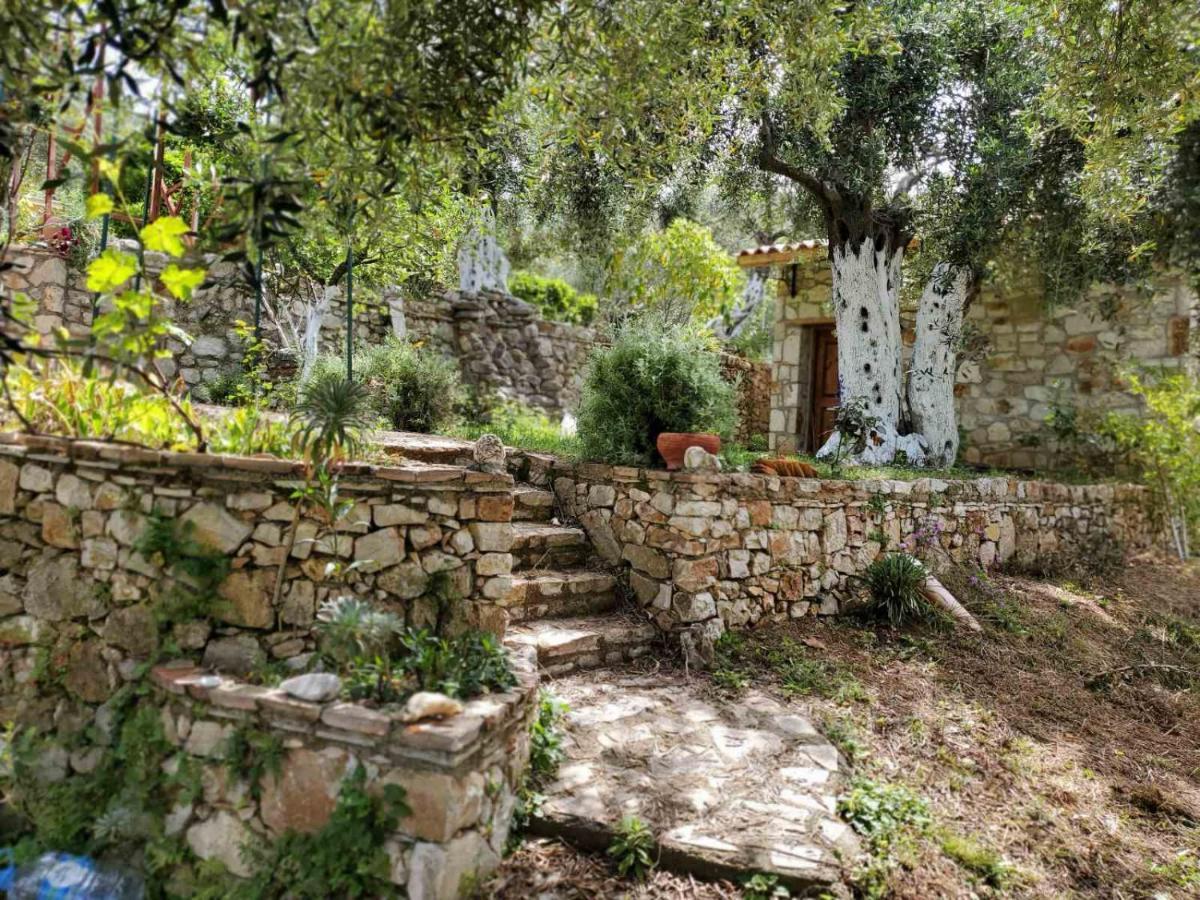 Filoxenia - The Place Of Experience Himare Exterior foto