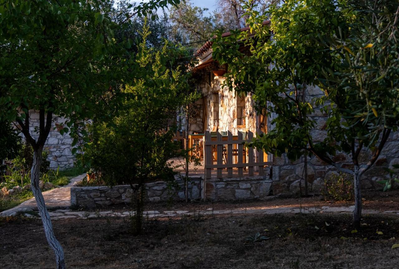 Filoxenia - The Place Of Experience Himare Exterior foto