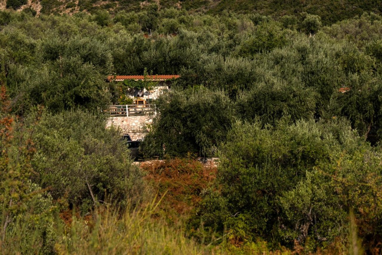 Filoxenia - The Place Of Experience Himare Exterior foto