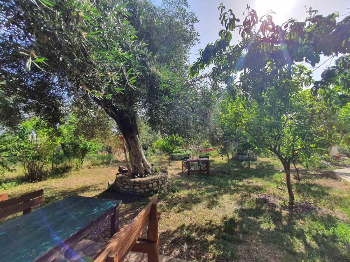 Filoxenia - The Place Of Experience Himare Exterior foto