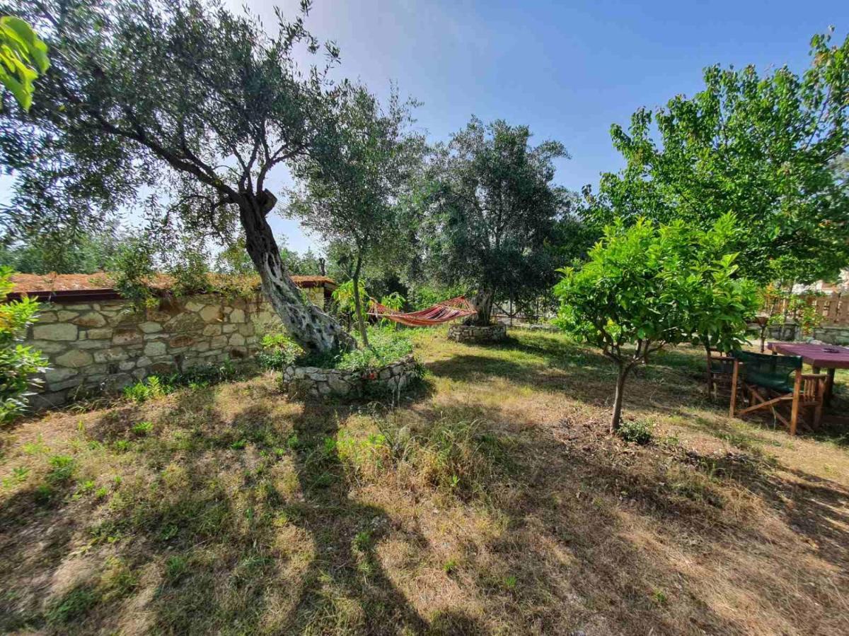Filoxenia - The Place Of Experience Himare Exterior foto