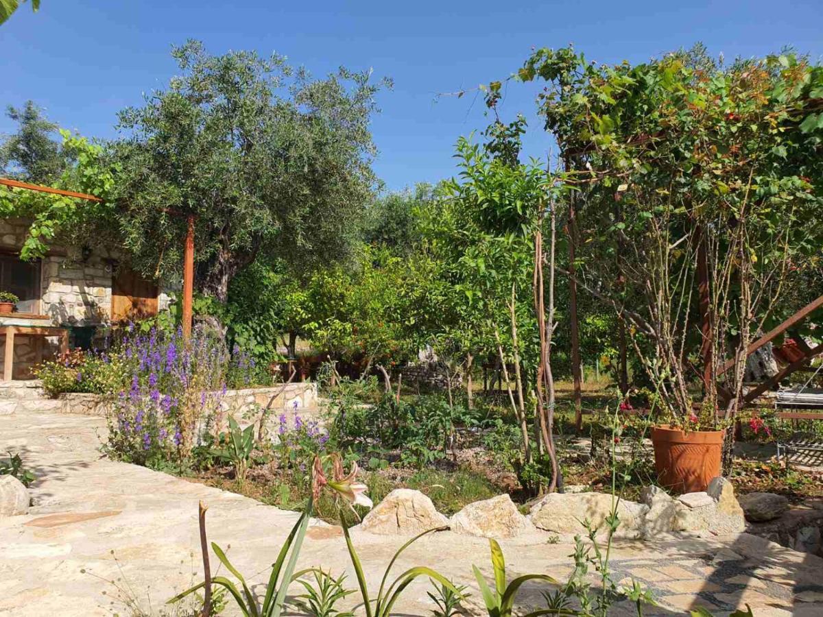 Filoxenia - The Place Of Experience Himare Exterior foto